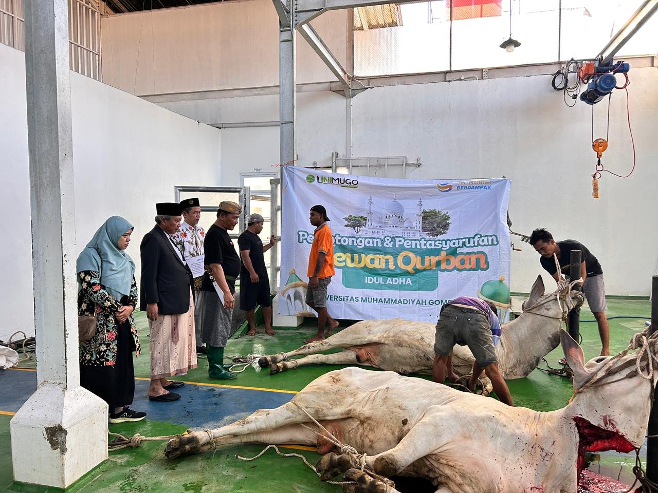 UNIMUGO TEBAR KEBERKAHAN IDUL ADHA 1447 H, SALURKAN 1.800 PAKET DAGING QURBAN